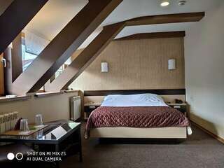 Гостиница Домино Нижний Новгород Двухместный номер с 1 кроватью-1