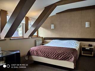 Гостиница Домино Нижний Новгород Номер эконом с 1 двуспальной кроватью (мансарда)-6